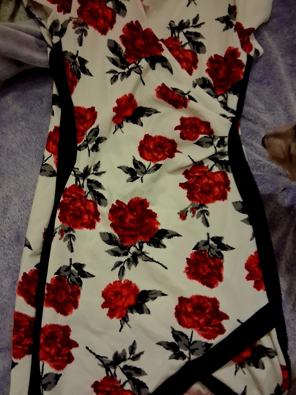 Floral Red Rose Print Sheath Dress